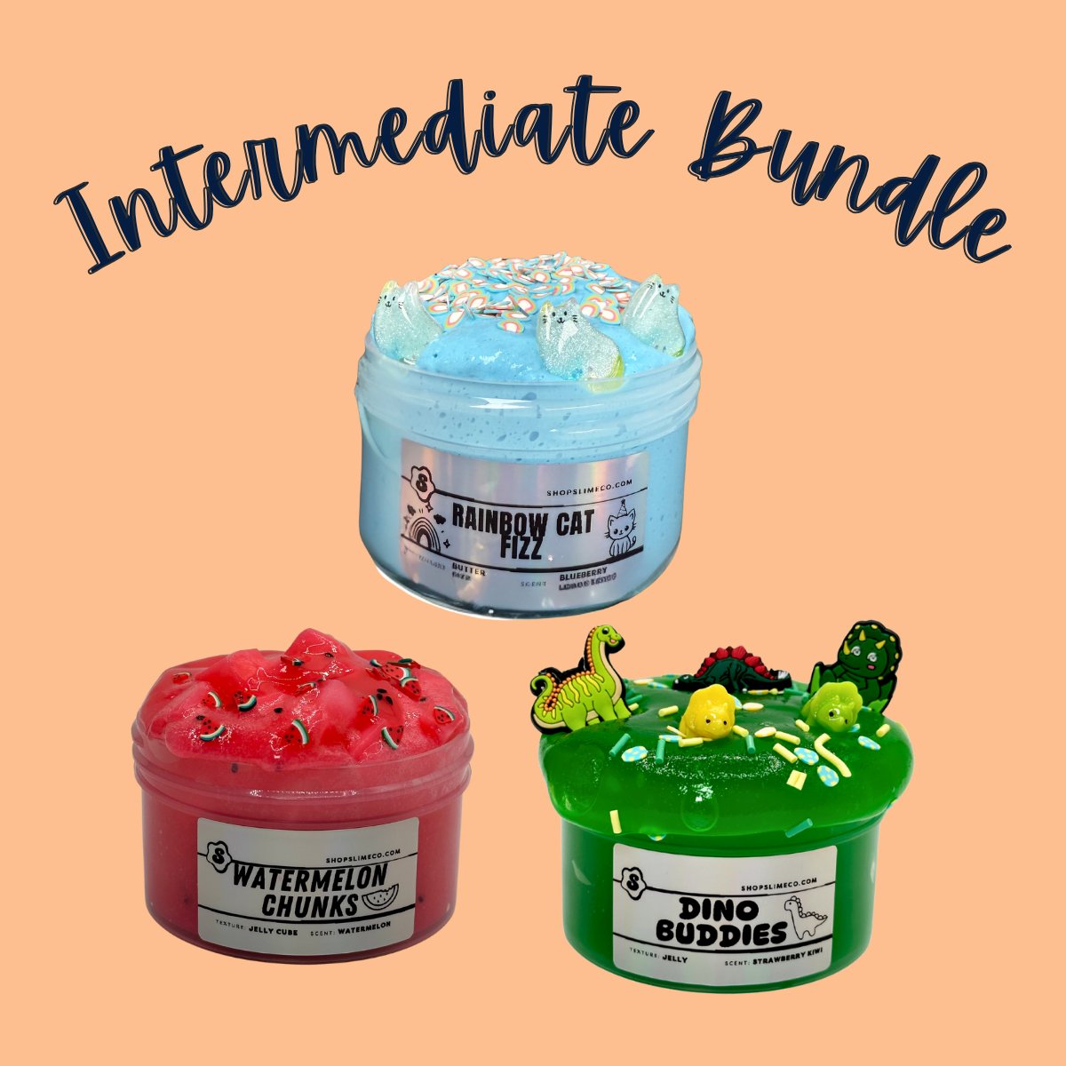 Intermediate Bundle