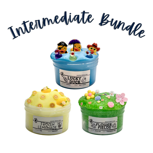 Intermediate Bundle